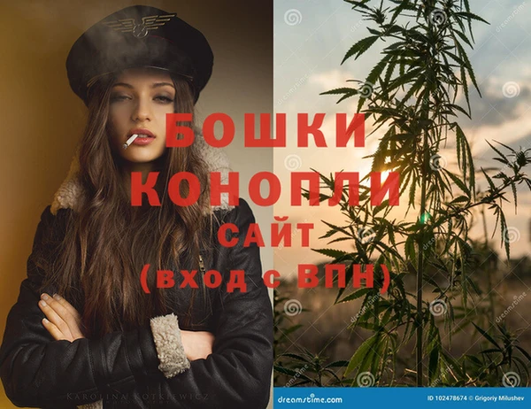 Альфа ПВП Пестово